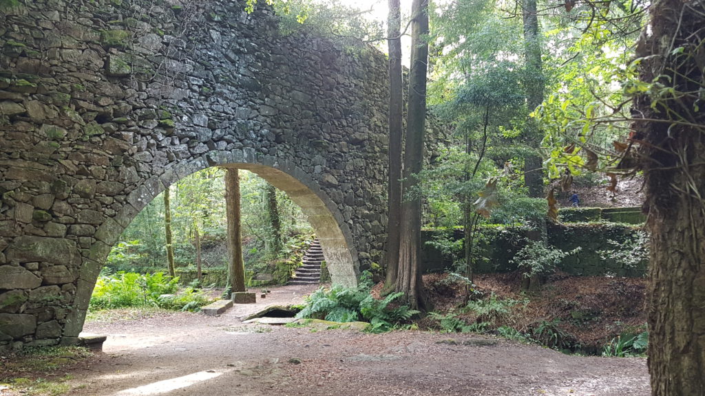 bosque encantado de Aldán