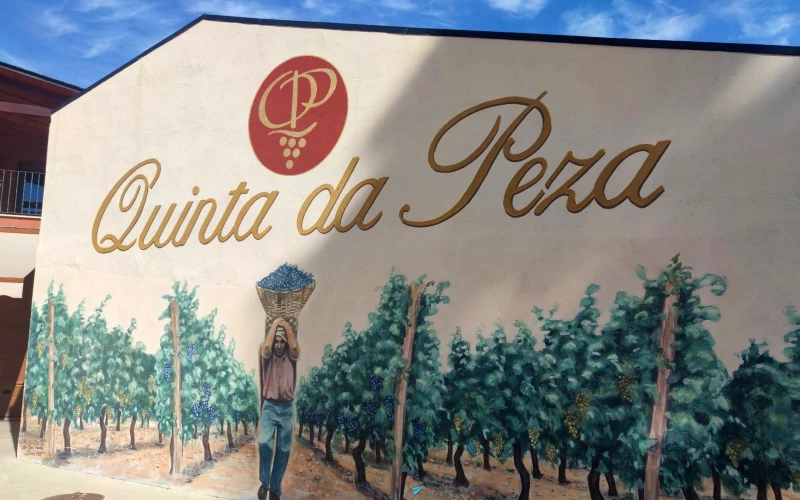 Quinta da Peza Valdeorras