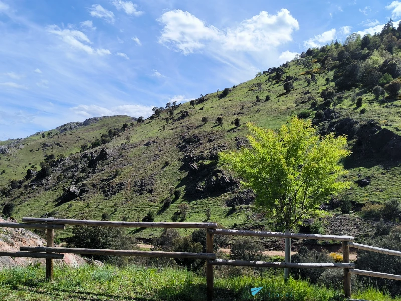 Pista de acceso a la cueva de Valdelajo