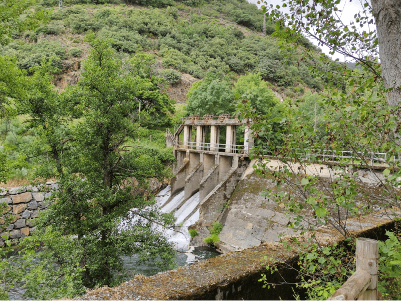 Presa