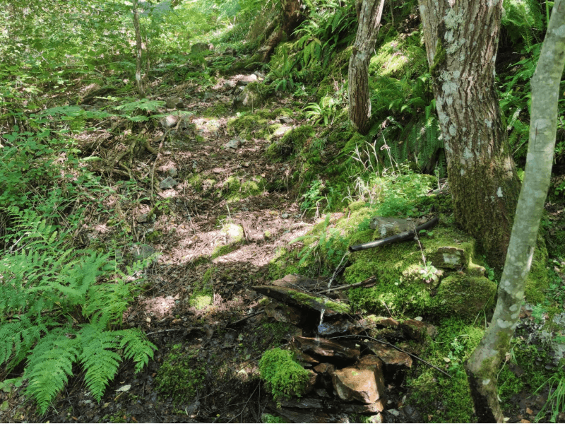 Ruta cascada Cervezón