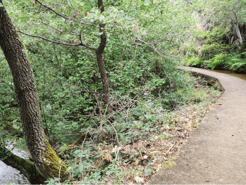 Ruta Folsogo de la Ribera